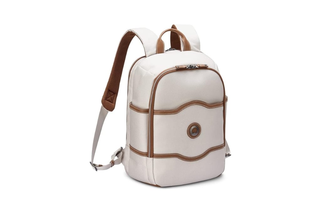 Delsey Chatele backpack