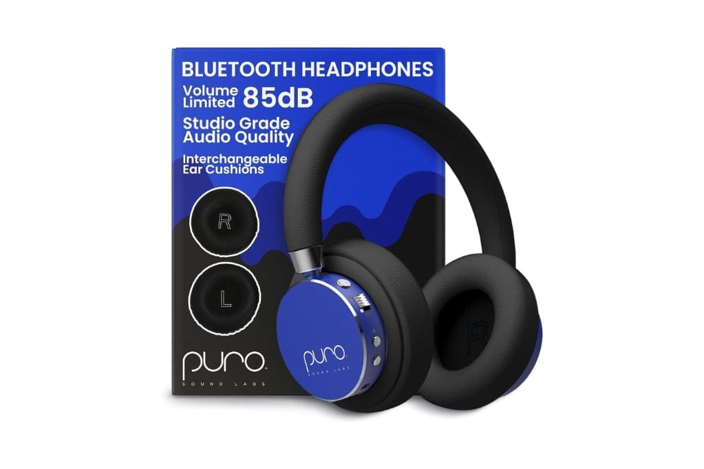 puroSBT2200